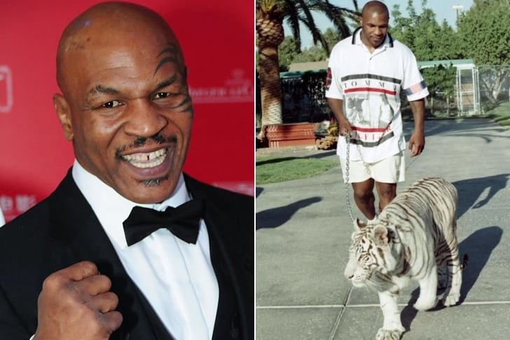 Mike Tyson - Tiger.